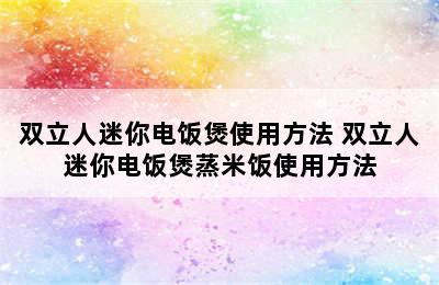 双立人迷你电饭煲使用方法 双立人迷你电饭煲蒸米饭使用方法